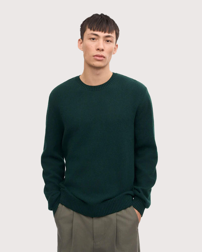 Colorful-Standard-Classic-Merino-Wool-Crew-Emerald-Green-01