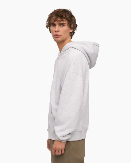 Colorful-Standard-Organic-Oversized-Zip-Hood-Snow-Melange-03