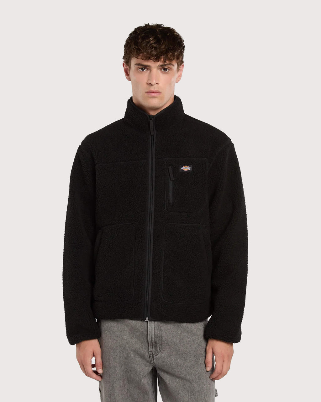 Dickies-Mount-Hope-Fleece-in-Schwarz-01
