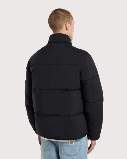 Dickies-Summerdale-Steppjacke-in-Schwarz-02