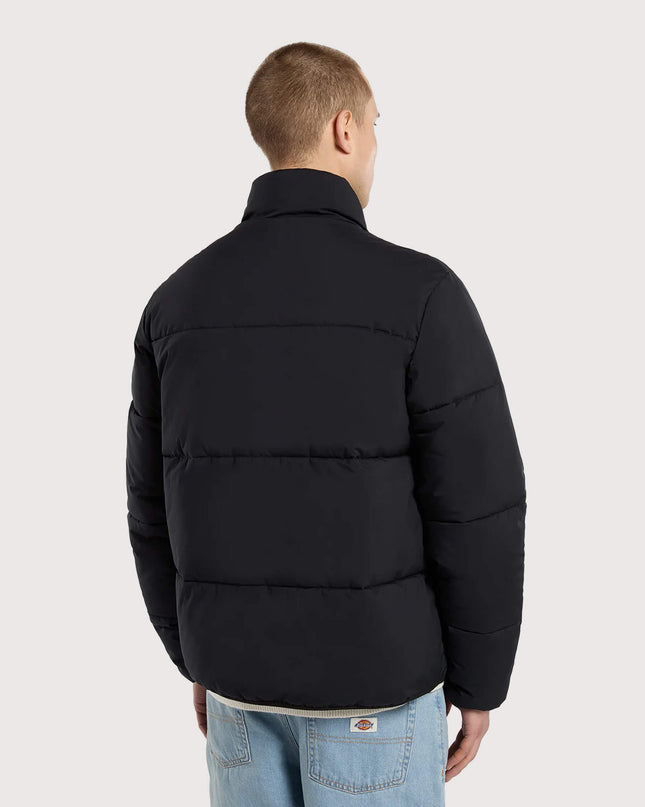 Dickies-Summerdale-Steppjacke-in-Schwarz-02