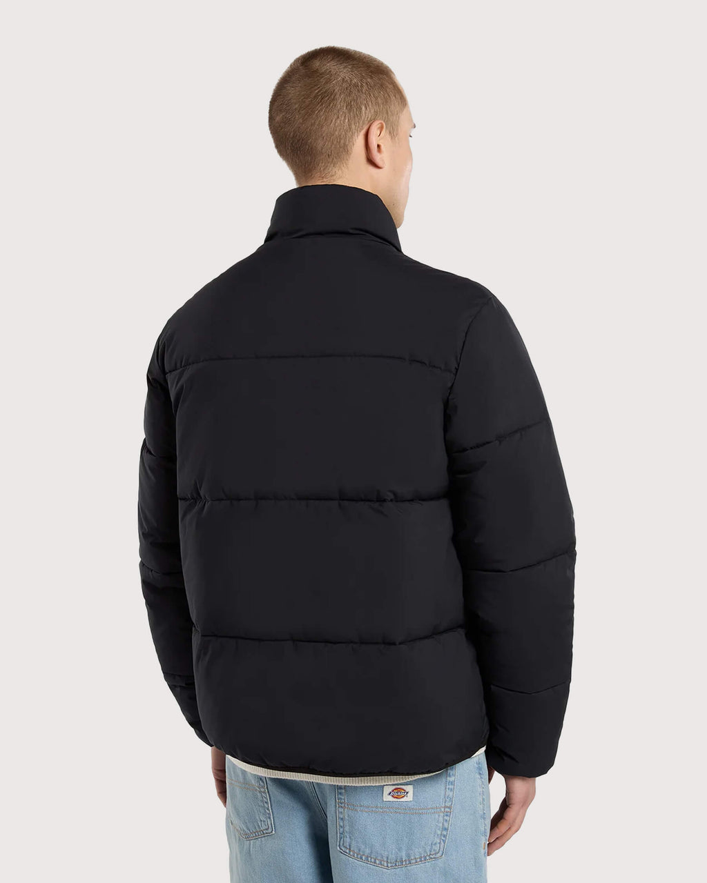 Dickies-Summerdale-Steppjacke-in-Schwarz-02