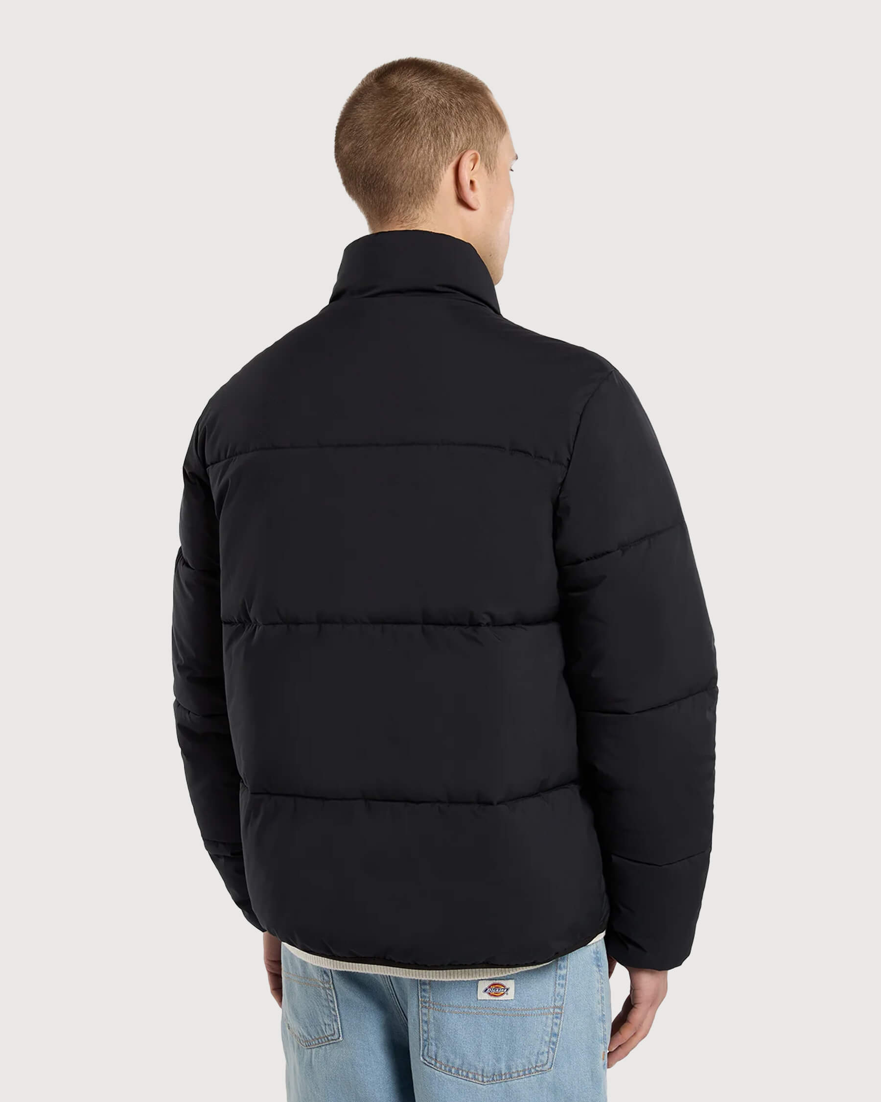 Dickies-Summerdale-Steppjacke-in-Schwarz-02